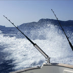 Outrigger Rod Holders